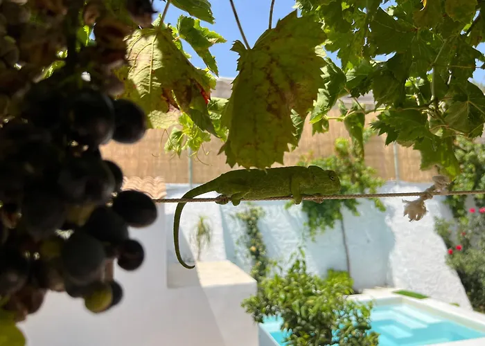 Villa El Majuelo 2 Níjar